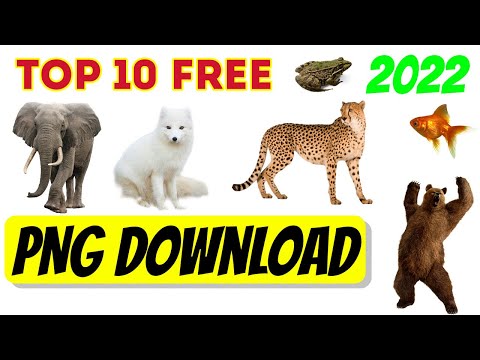 Top 10 Free PNG Resources You Should Know About