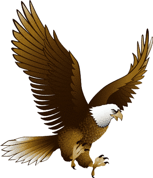 eagle_PNG1217.png