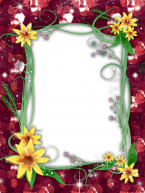 Red-Flower-Frame-PNG-Transparent-Image-209x279.png