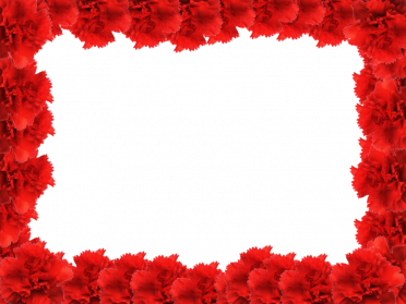 Red-Flower-Frame-PNG-Photo-1-372x279.png