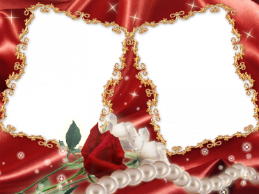 Red-Flower-Frame-Transparent-PNG-1-372x279.png