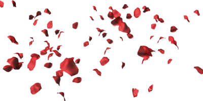 Rose-Petals-PNG-HD.png