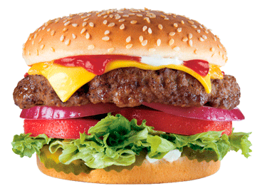 burger_sandwich_PNG4160.png