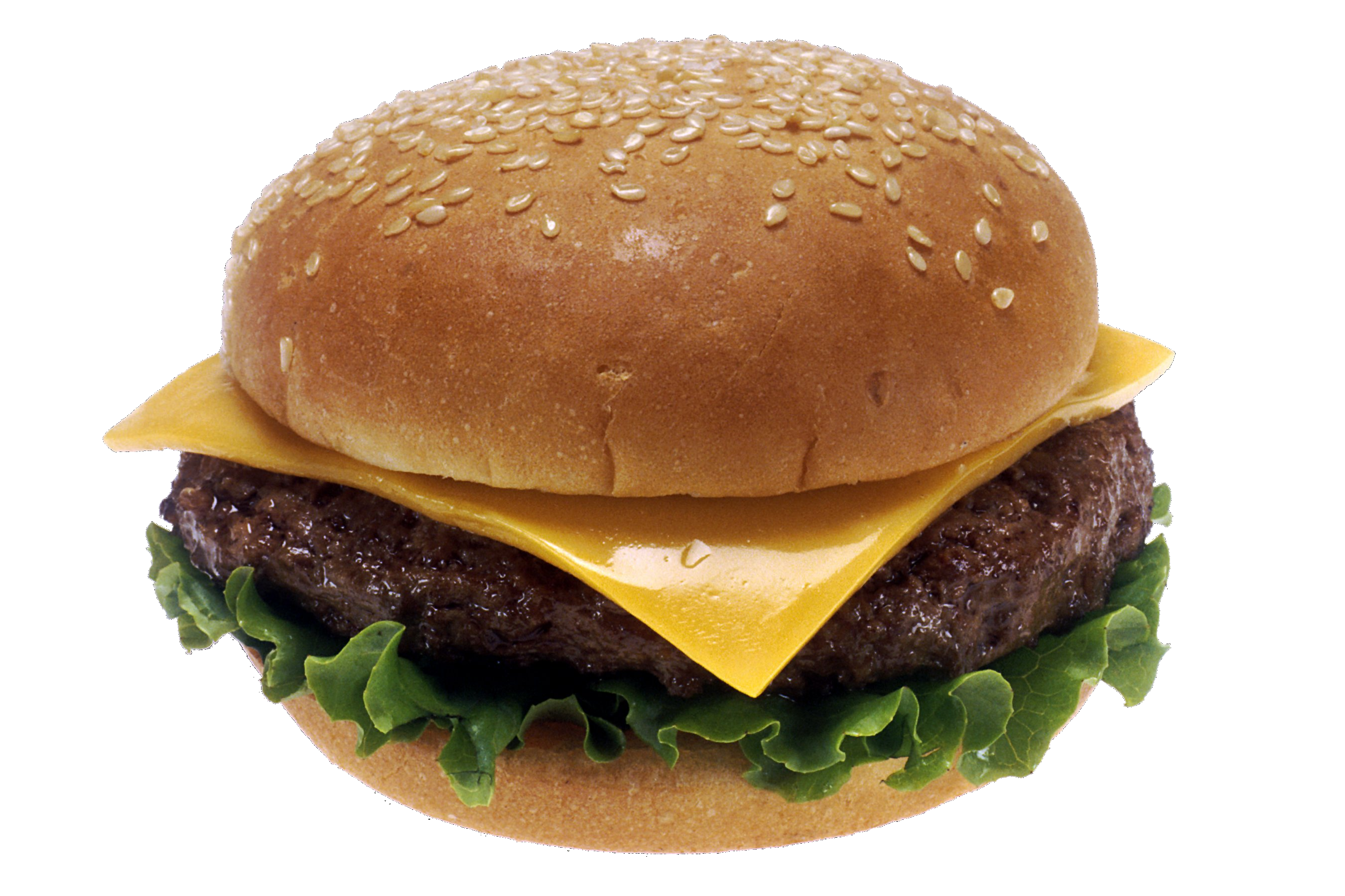 burger_sandwich_PNG4144.png