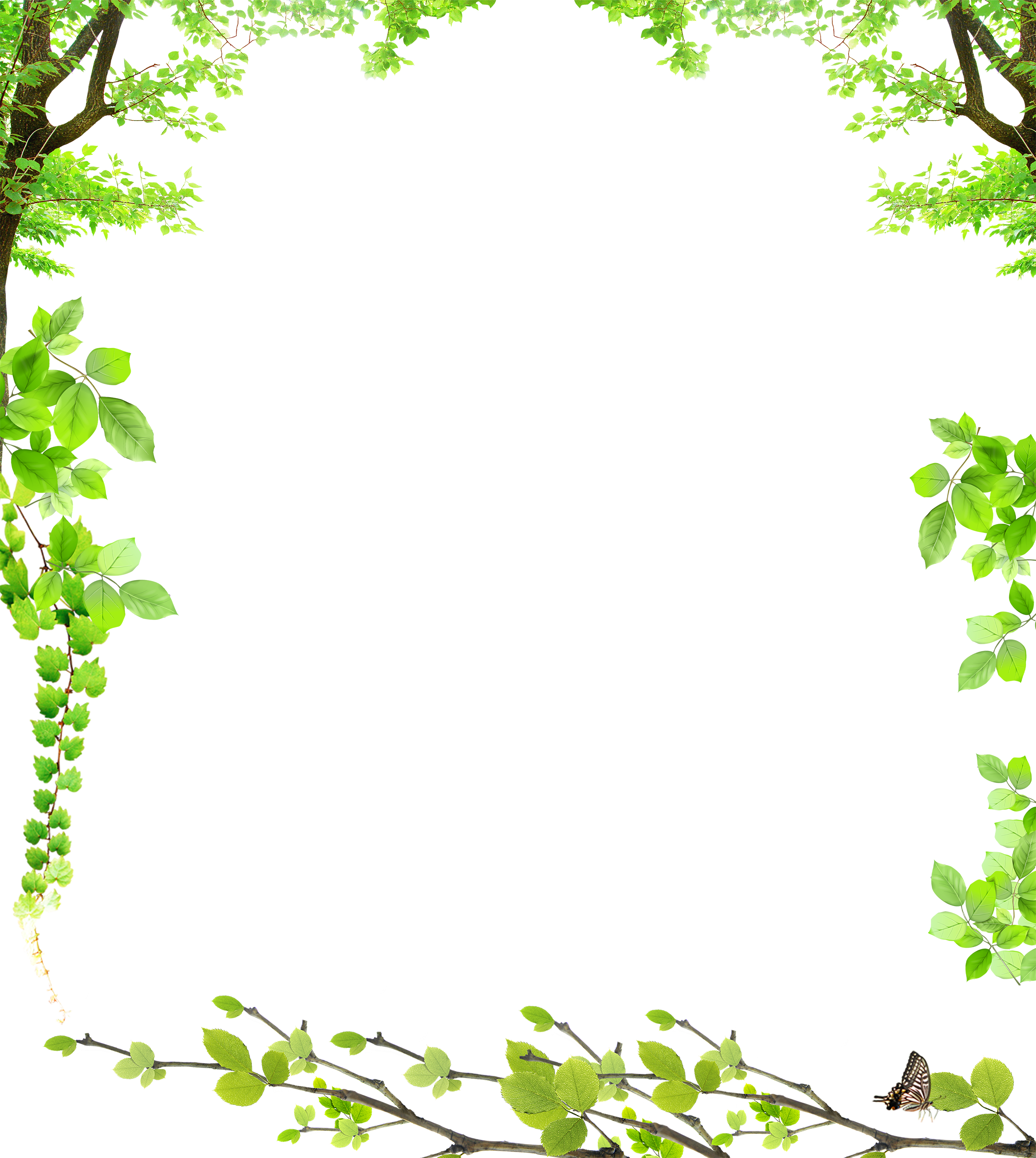 Leaf & Tree & Branch (76).png