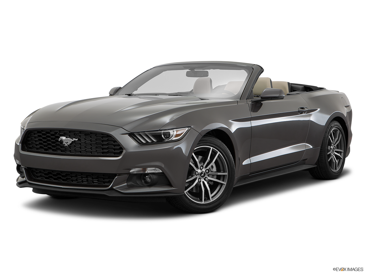 ford-mustang-transparent-png-thefreepng.com (16).png