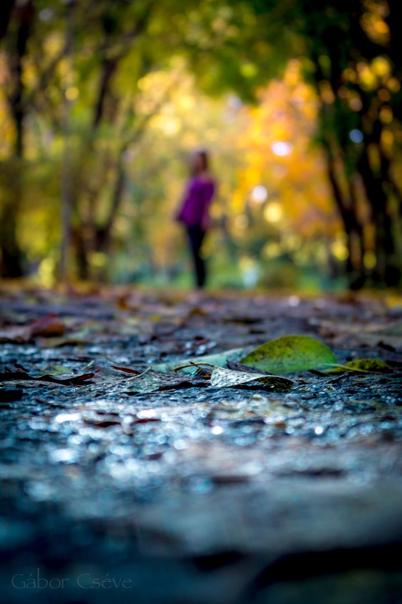 Cb Backgrounds - Copy_8.jpg