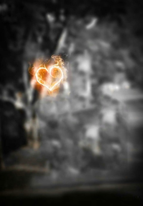 Cb Backgrounds - Copy_46.jpg