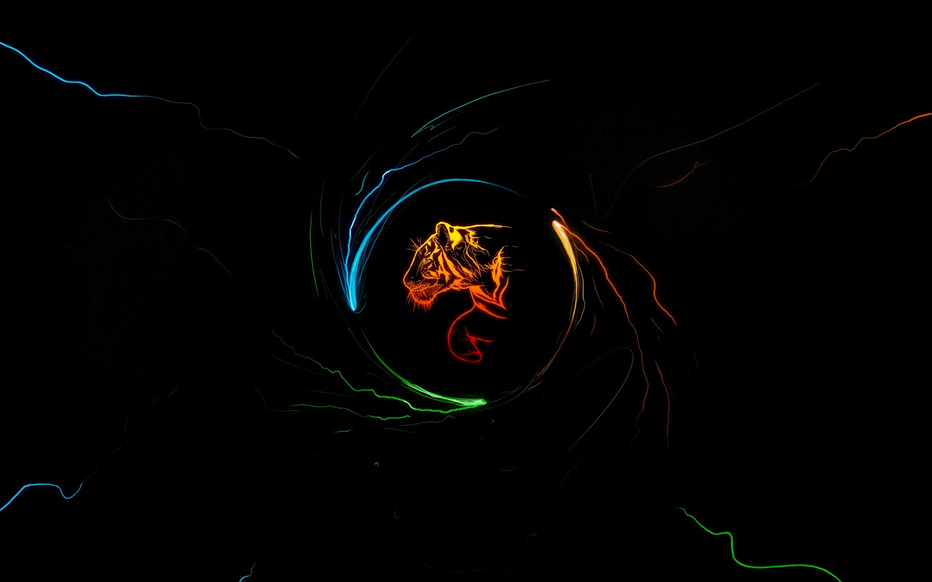 Coler And Light - Copy_88.jpg