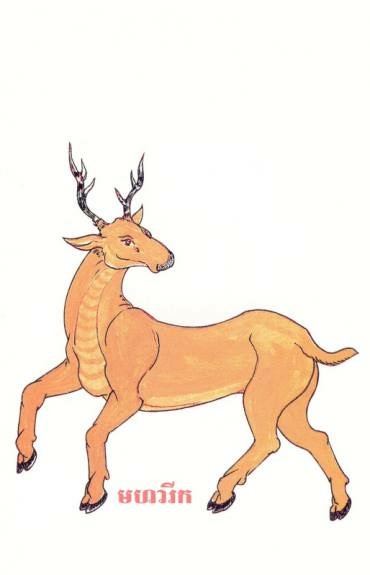 file 370x575_005820 (2).jpg