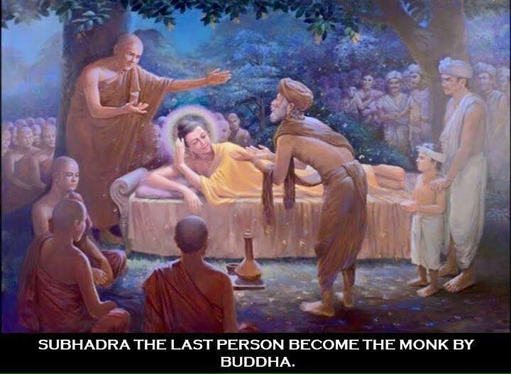 file 720x527_009349.jpg