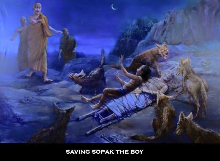 file 720x528_009410.jpg