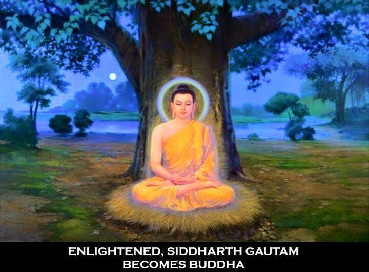 file 720x530_009433.jpg