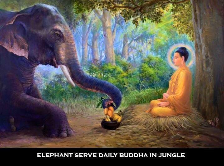 file 720x534_009395.jpg