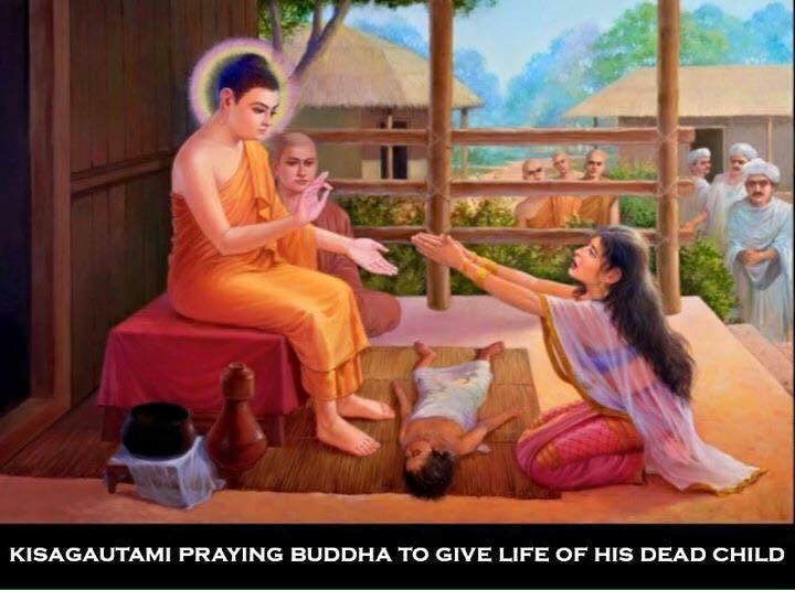 file 720x535_009392.jpg