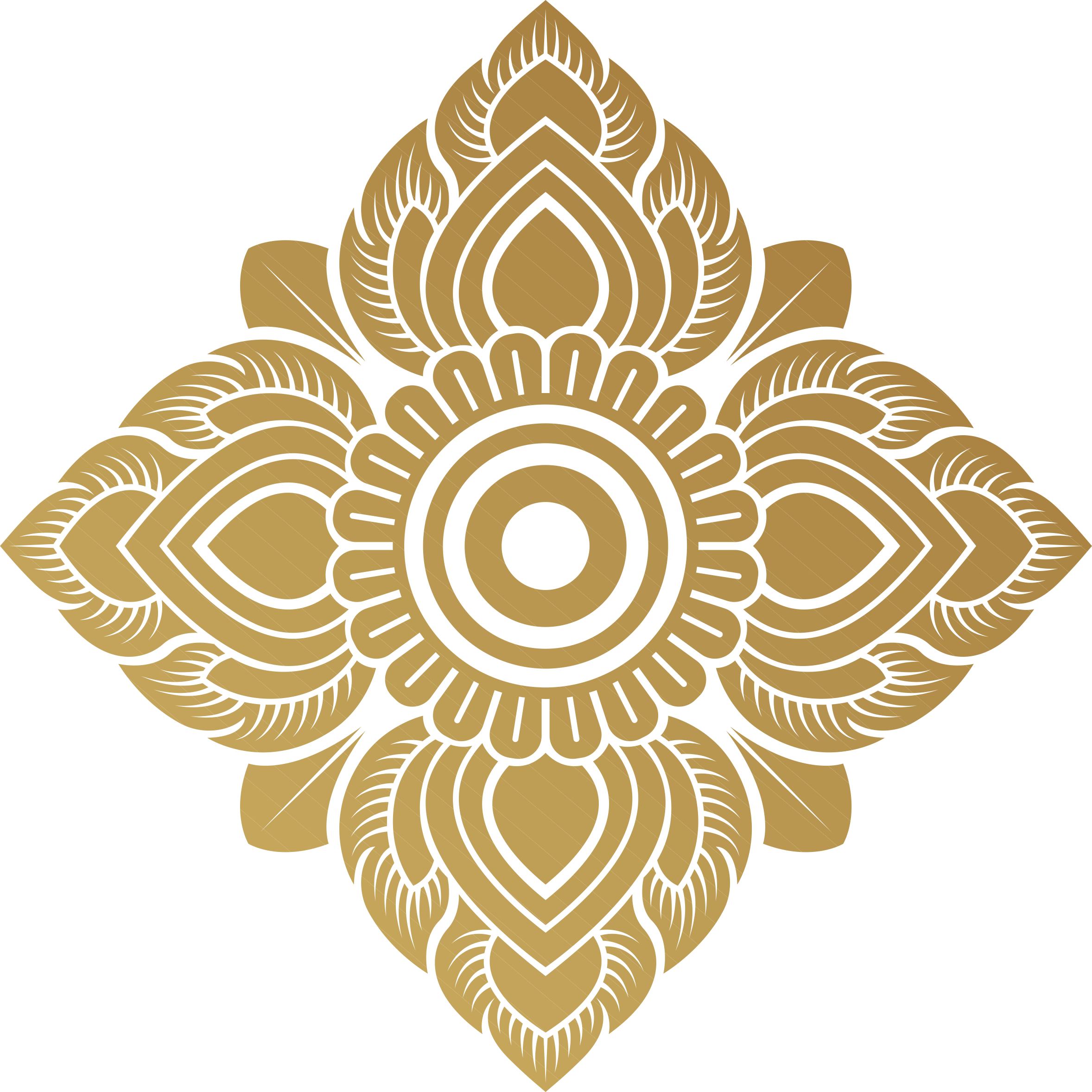 Book-Jacket-Dust-Cover-Dust-Jacket-Dust-Wrapper-Envelope