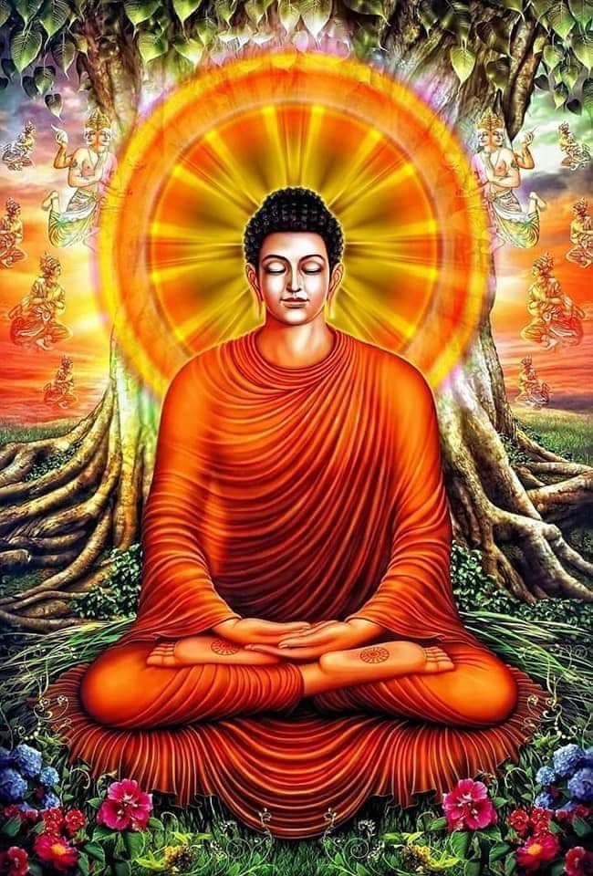 Img-Hen-of-the-woods-Hen-Woods-Polyporus