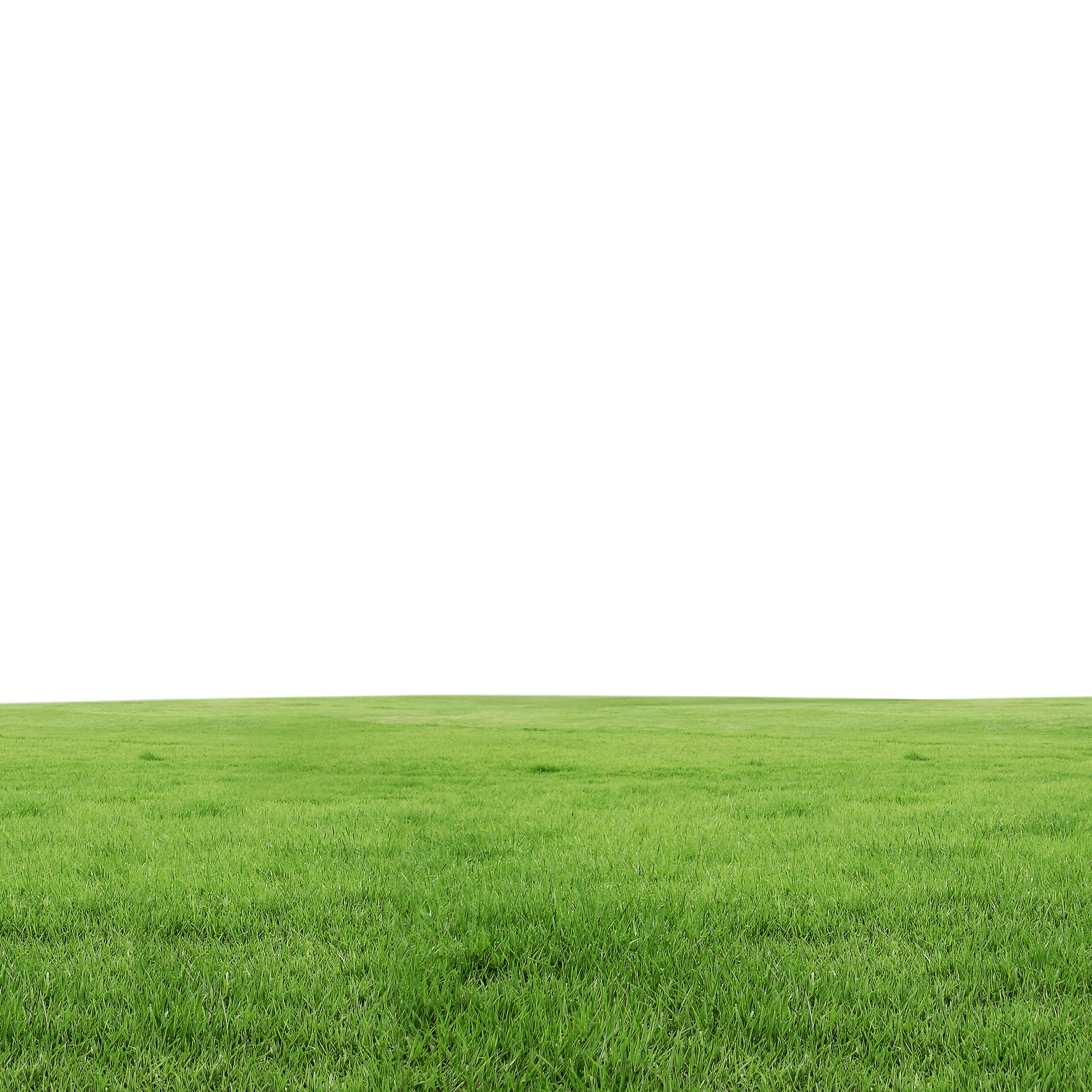 lawn-grass-3a48e259ffe7f6efc1b43af752d6d0f1.png