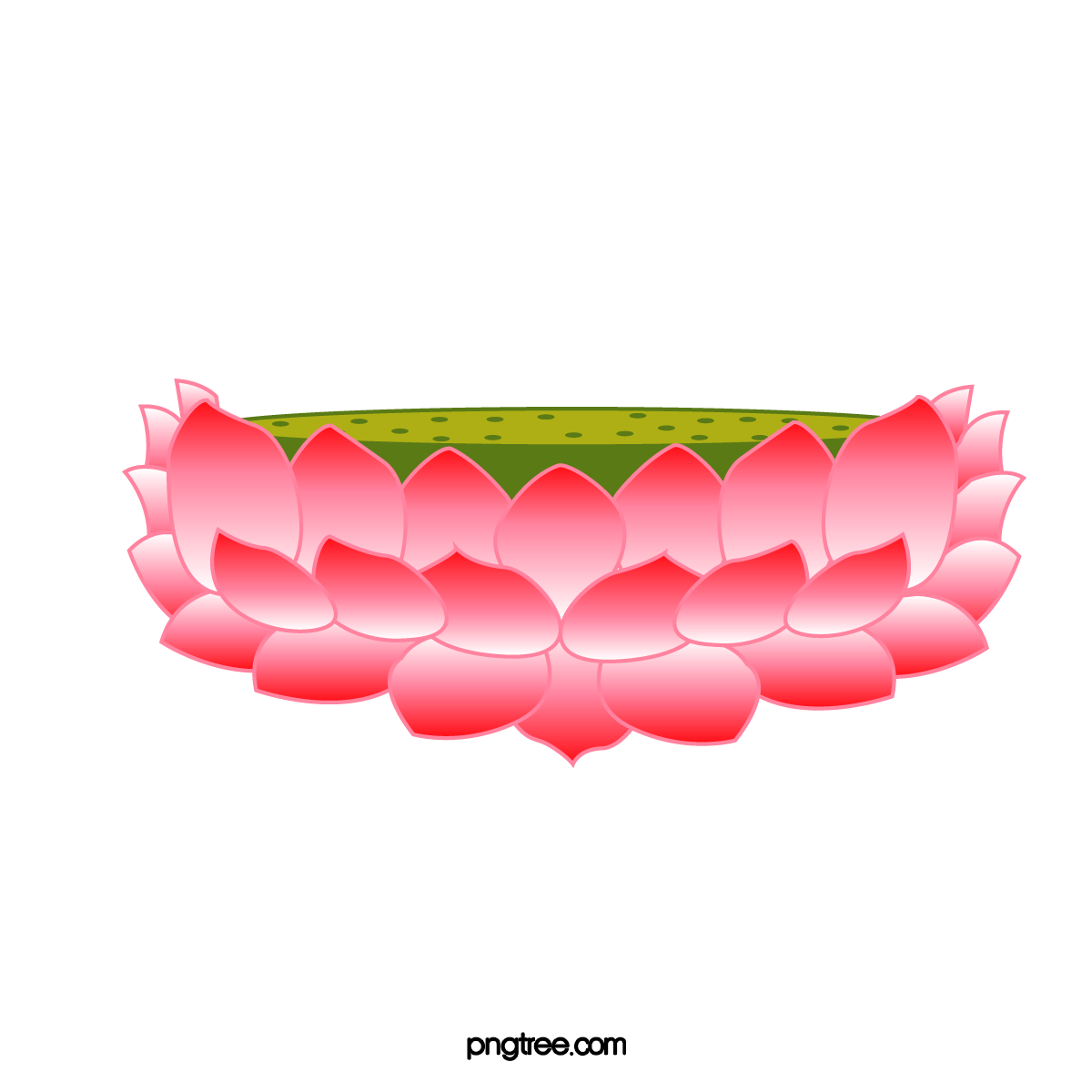 —Pngtree—red lotus base_1144961.png