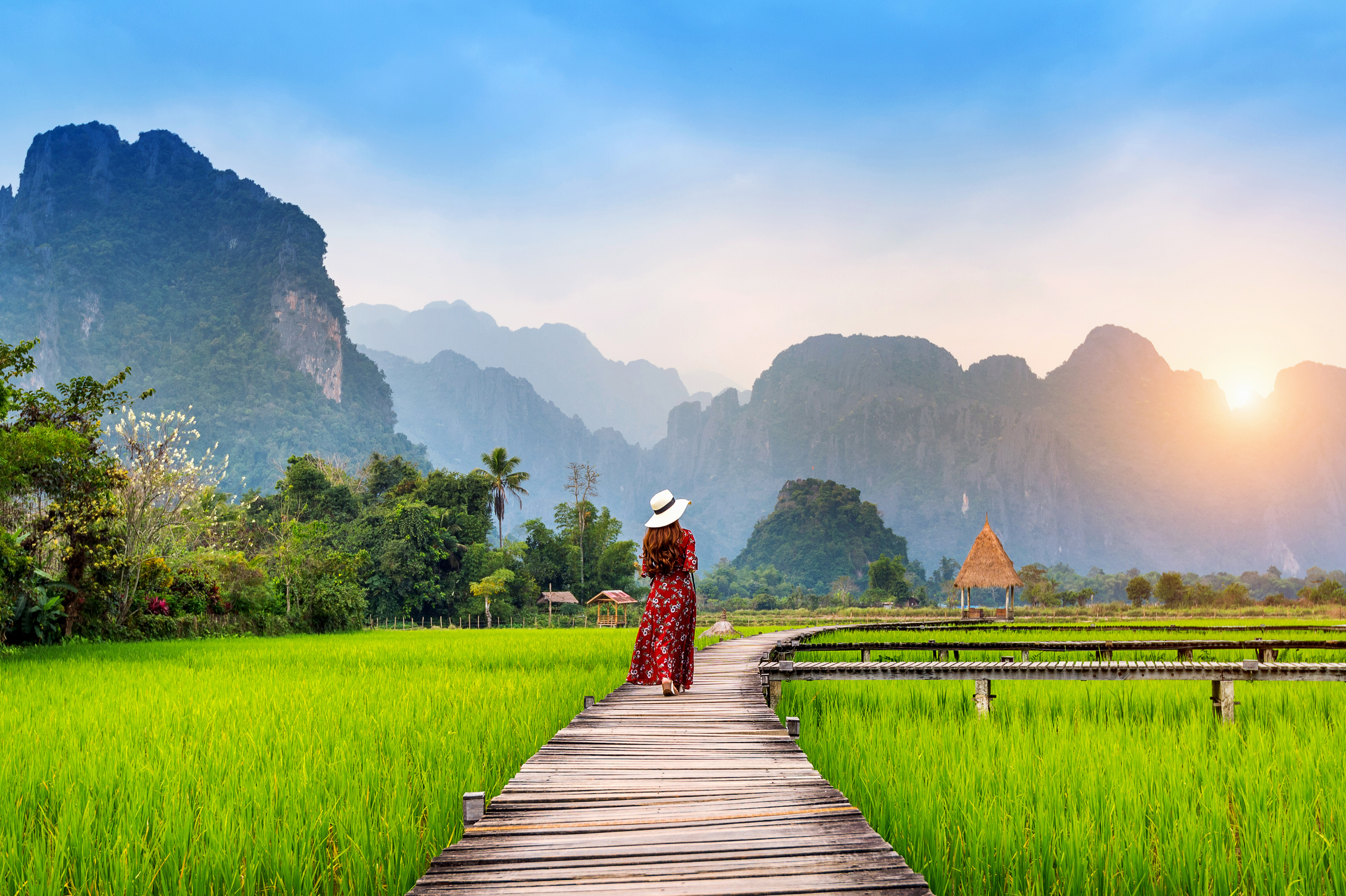 young_woman_walking_wooden_path_with_green_rice_field_vang_vieng.jpg