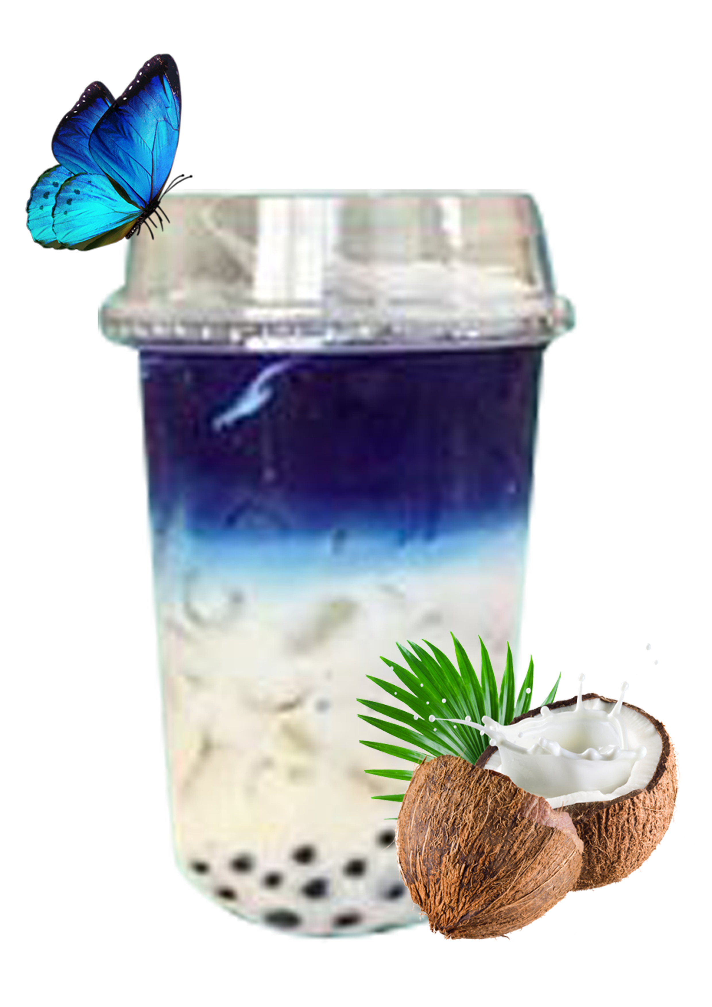 តែមេអំបៅ (2).png