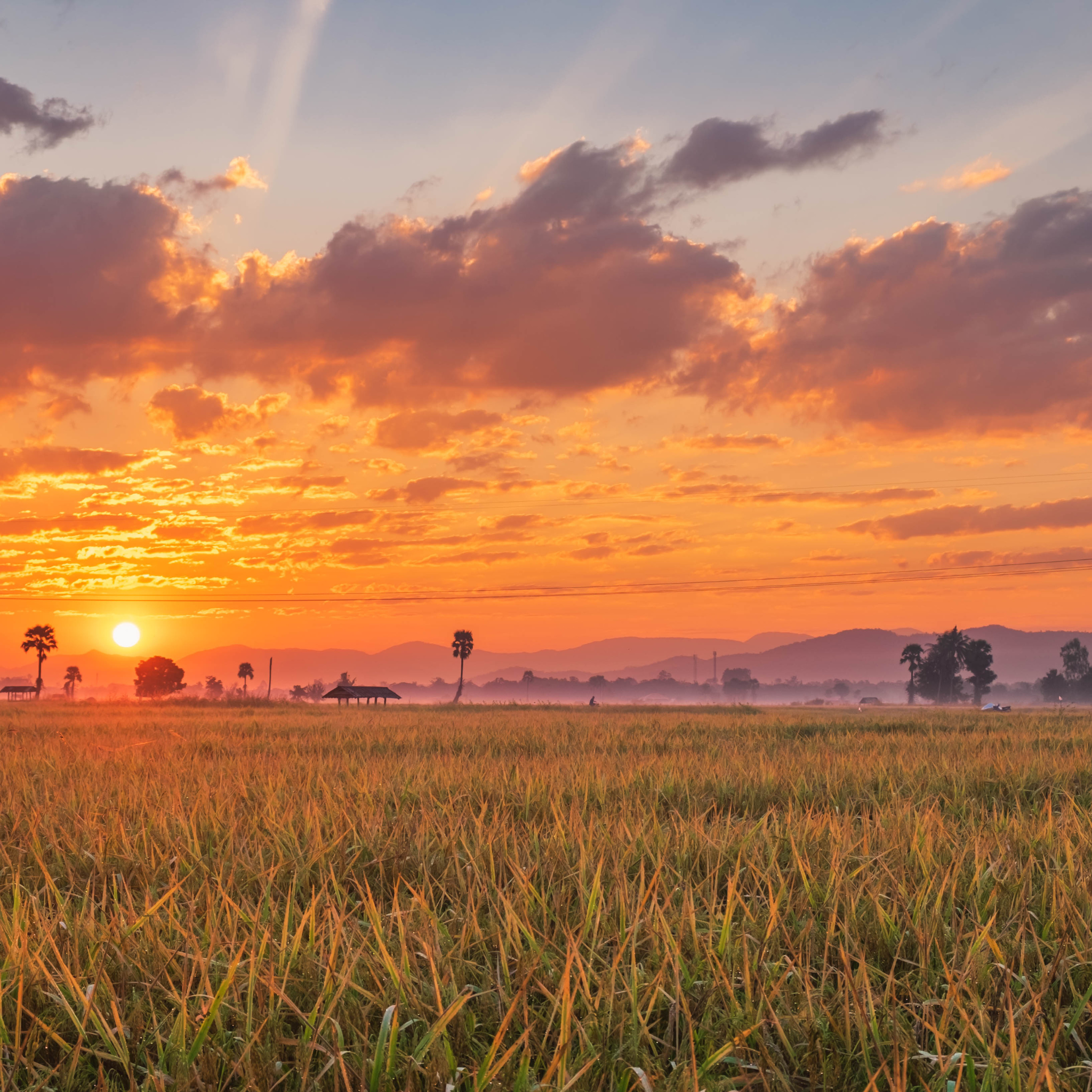 ផ្ទះបោះពុម្ព-ទេសភាព (1)