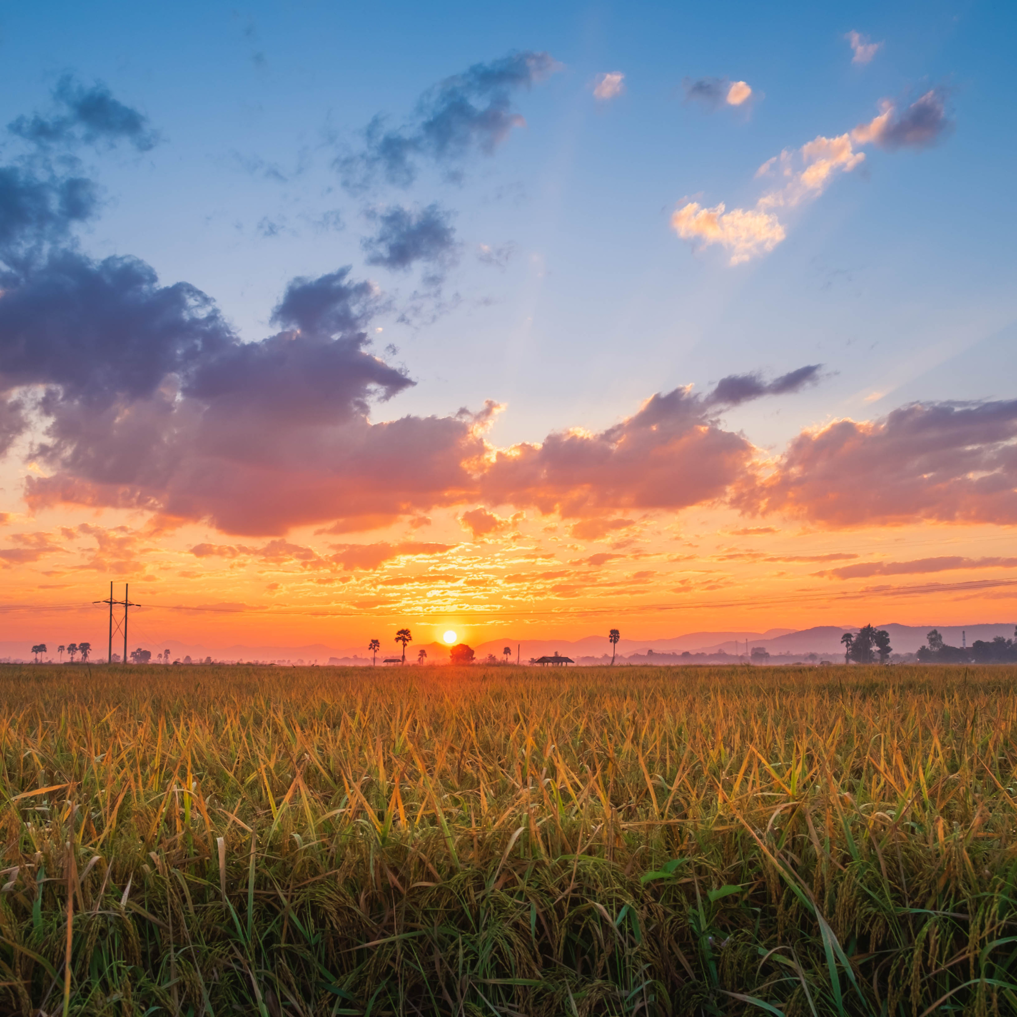 ផ្ទះបោះពុម្ព-ទេសភាព (2)