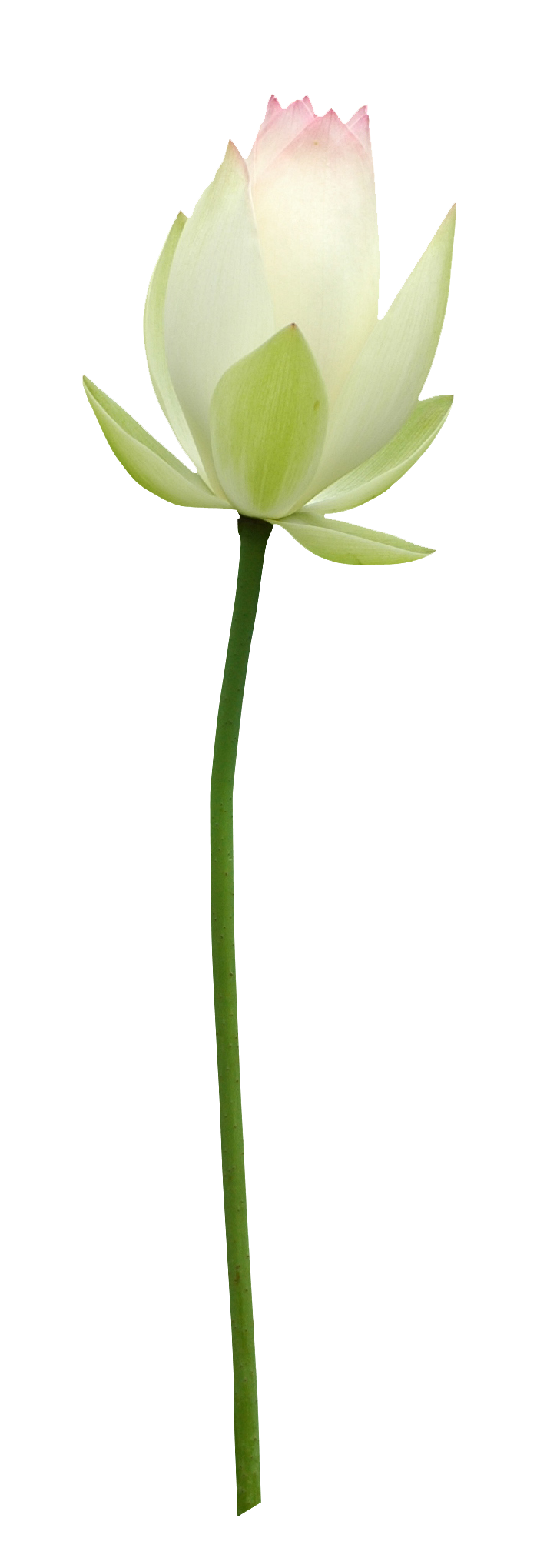 រដូវភ្ជុំ (1)