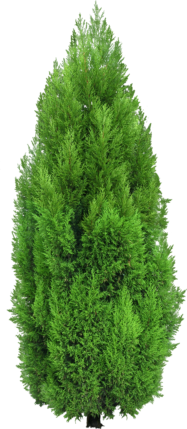 សួនច្បារ​ By  - Mrr Bun Thym (5) (3)