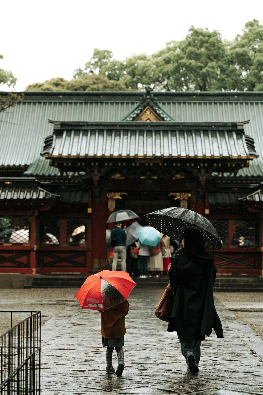 Rain  Tree  Temple  Nature  People