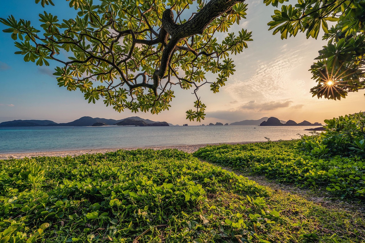 Sunset  Sand  Nature Background  Beach  Islands  Leaf  Subtropical  Okinawa  Japan  Nature  Landscape  Hd Wallpapers  Beautiful Nature  Hd Wallpaper  Nature Wallpaper