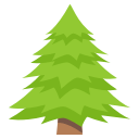 1f332.png