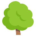 1f333.png