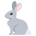 1f407.png