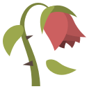 1f940.png