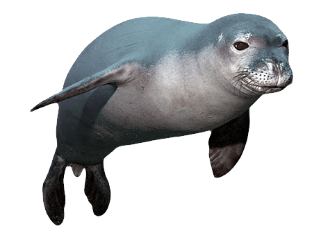 Ck Edite (55).png