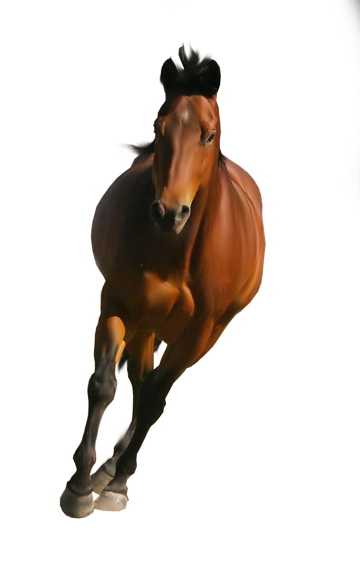 Ck Edite (69).png