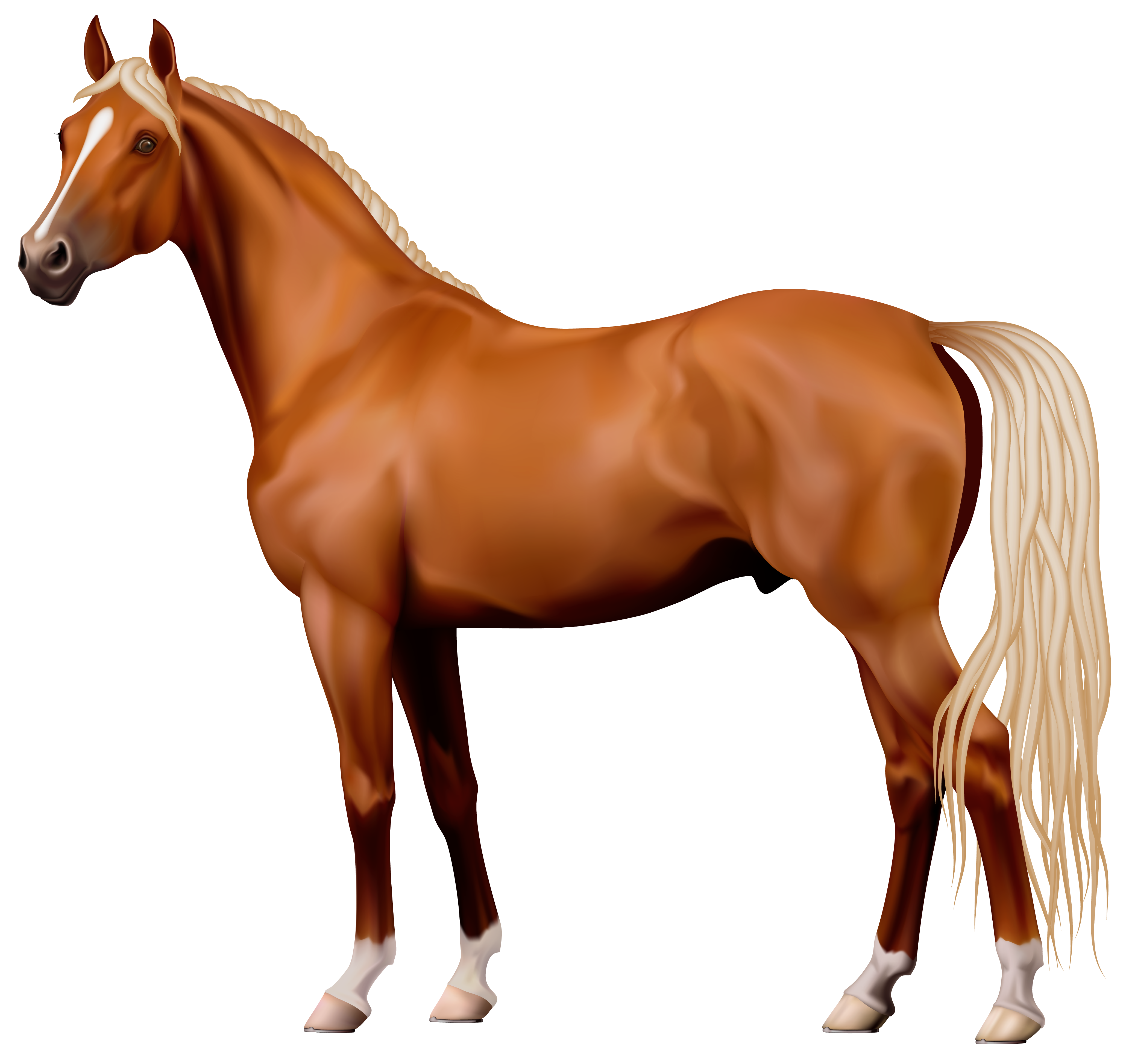 Ck Edite (70).png