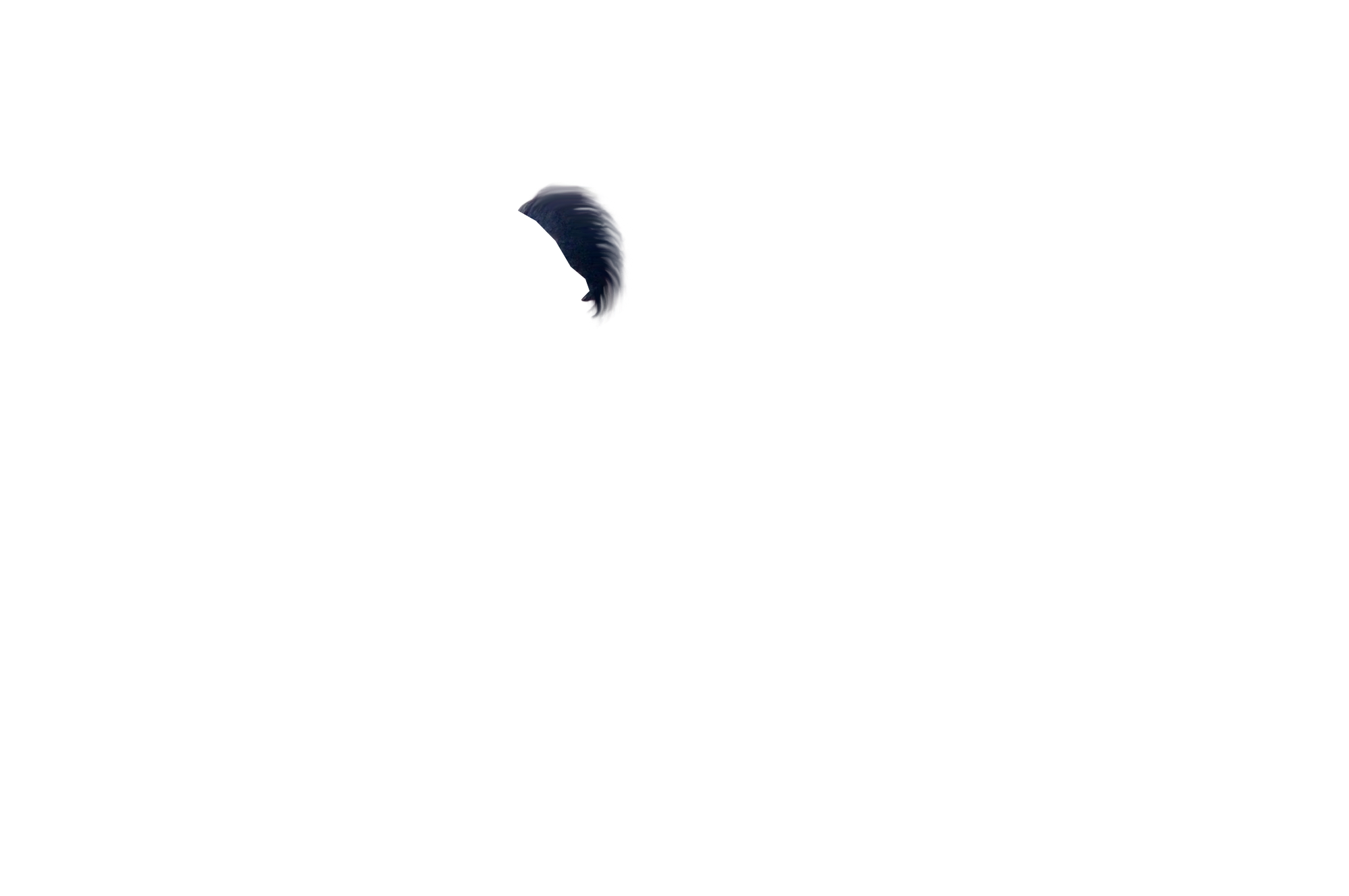 Computer Kida (65).PNG