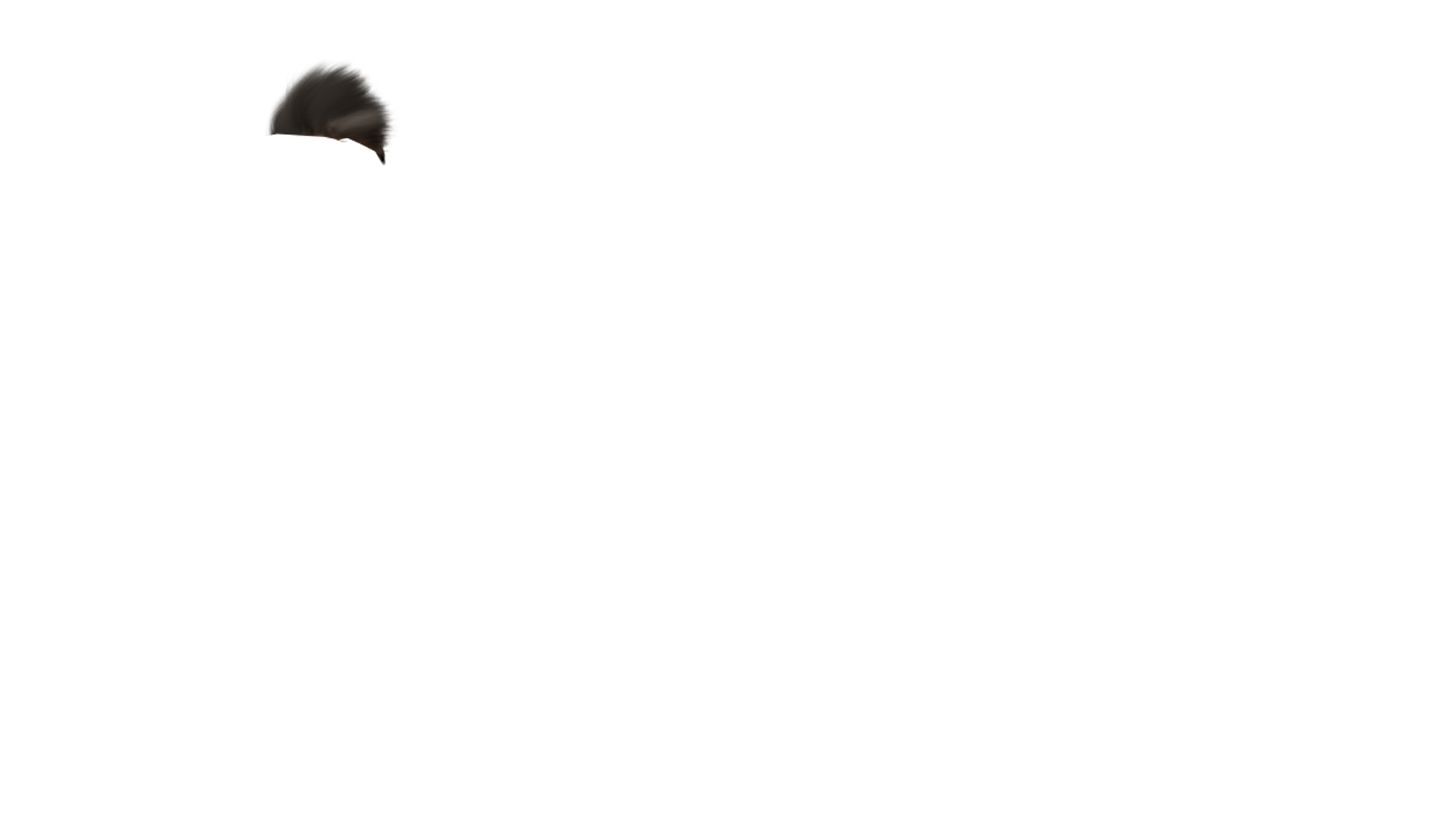 Computer Kida (66).PNG