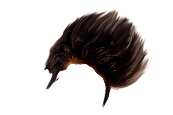 Computer Kida (122).png