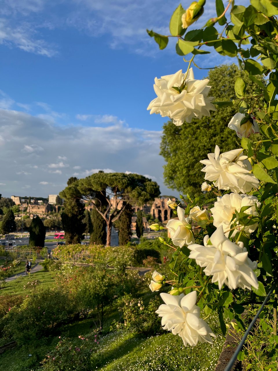 Cross-Site Request Forgery