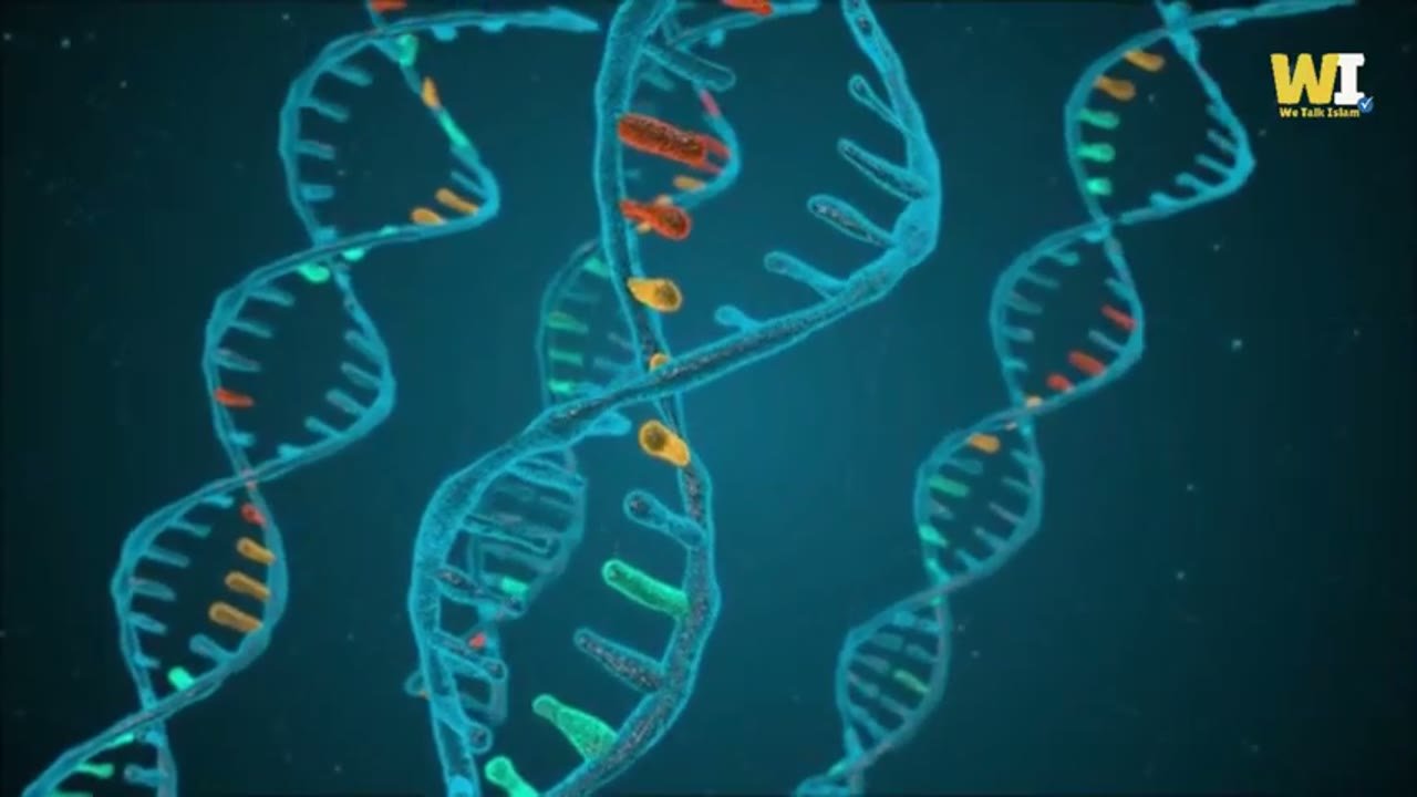Vidssave.Com Top 16 Muslim Scientists Without Whom Modern Science Would Never Exist 480P