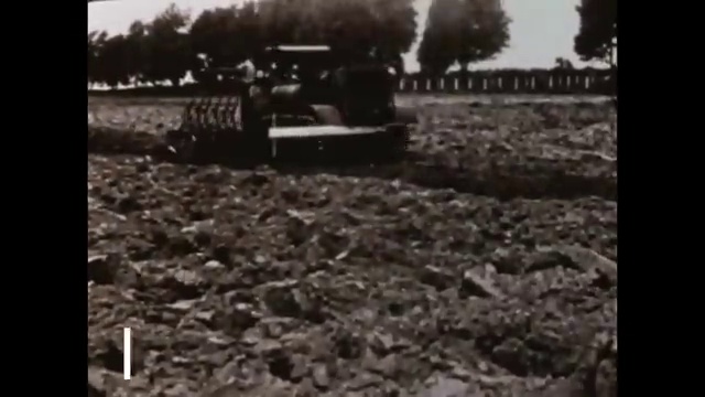 Video Frame 1