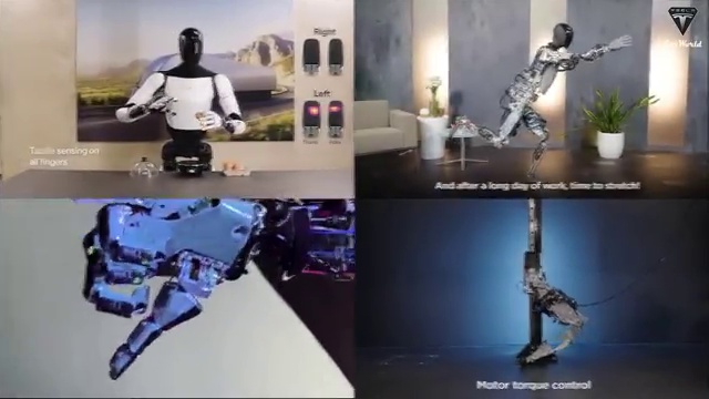 Video Frame 3